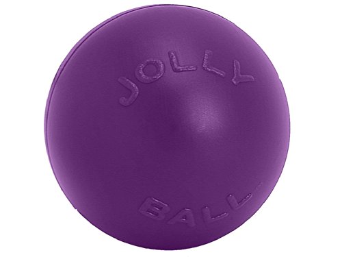 Jolly Pets Push-n-Play Ball Hundespielzeug, 25,4 cm/L, Violett von Jolly Pets