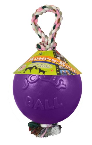 Jolly Pets Romp-n-roll Ball, violett, Large/X-Large von Jolly Pets