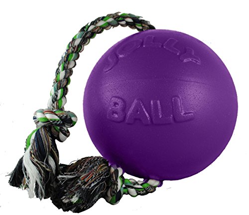 Jolly Pets Romp-n-roll Ball, violett, Large/X-Large von Jolly Pets