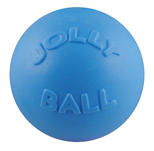 Jolly Pets Toys Jolly Bounce-n-Play Hundespielzeug, Blueberry, Large/X-Large von Jolly Pets