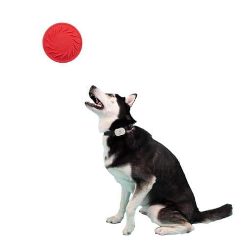 Jolly Pets Tuff Range; Tuff Flyer; 21,6 cm fliegende Scheibe Kauspielzeug für Hunde von Jolly Pets