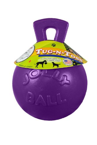 Jolly Pets Tug-n-Toss Hundespielzeug Ball mit Griff, robust, 20,3 cm/groß, Violett von Jolly Pets