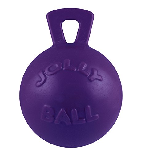 Jolly Pets Tug-n-Toss Hundespielzeug Ball mit Griff, robust, 20,3 cm/groß, Violett von Jolly Pets