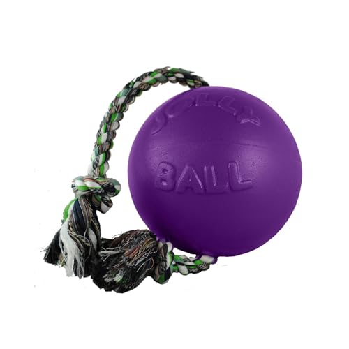 Zen-Kat Jolly Ball Romp-n-Roll 20 cm Violett von Jolly Pets