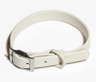 Pawsome Halsband (Grau, Größe XL) von JollyRover Pets