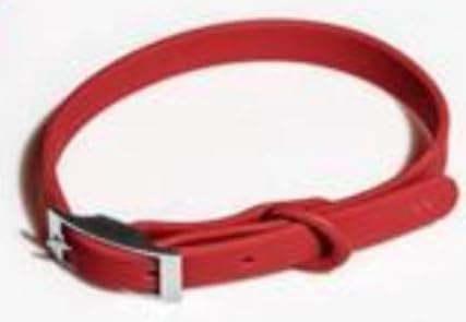Pfotenhalsband, Rot, Größe M von JollyRover Pets
