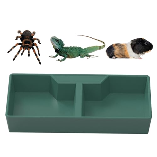 Jomewory Futternapf für Reptilien, 2 Fächer, dunkelgrün, Terrarienschalen für, Gecko, Chamäleon, Haustiere, Lebensraumdekoration Jomewory Futternapf für Reptilien, 2 Fächer, dunkelgrün, Terrarienschalen für, Gecko, Chamäleon, Haustiere, Lebensraumdekoration von Jomewory
