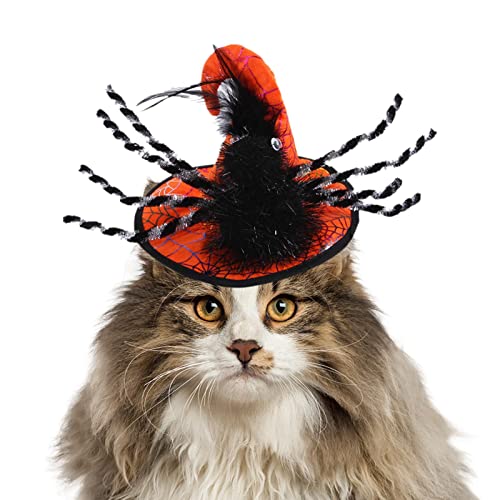 Jomewory Halloween Hut für Haustiere | Lustige Party-Kostümmmützen | Kreative und neue Hüte für Haustiere Halloween Spinne für die von Jomewory