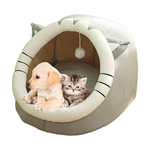Jomewory Bett für Haustiere, Katzenzelt mit abnehmbarem Kissen, waschbar | Katzenhöhle Bett für Haustiere, drinnen und draußen, halboffen, tragbar von Jomewory
