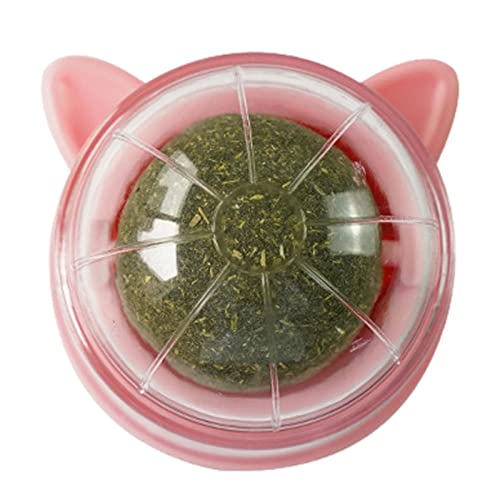 Jomewory Katzenkugel Spielzeug Wand Katze Kugeln für Haustiere Katze Reinigung der Zähne der Katze Leckkugeln Essbare Kätzchen Gesunde Kauen Lecken Beißen Spielzeug Rotierende Spielzeug Jomewory Katzenkugel Spielzeug Wand Katze Kugeln für Haustiere Katze Reinigung der Zähne der Katze Leckkugeln Essbare Kätzchen Gesunde Kauen Lecken Beißen Spielzeug Rotierende Spielzeug von Jomewory