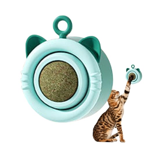 Jomewory Katzenminze für Katze, Katzenkugeln, 360 Grad drehbar, leckbar, interaktives Spielzeug für Katzen, für Wohnzimmer, Schlafzimmer, Tierheim von Jomewory