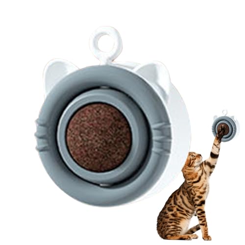 Jomewory Katzenminze für Katzen, lustiges und gesundes Katzenspielzeug zur Entspannung – Innenausstattung für Katzen, für Katzenhaus, Tierheim, Wohnzimmer, Schlafzimmer von Jomewory
