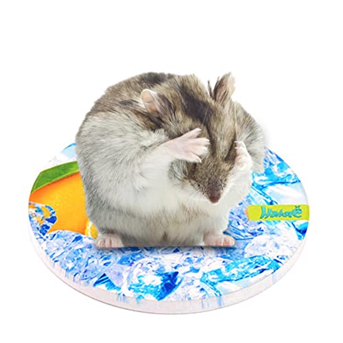 Jomewory Kühlkissen für Haustiere, waschbare Haustier-Kühldecke, Hamster-Keramik-Sommerkühlplatte, Eiskissen, Kühlmatte für kleine Haustiere von Jomewory