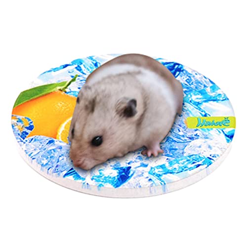 Jomewory Kühlkissen für Haustiere | Keramik-Kühlplatte | Hamster Keramik Sommer Kühlplatte Eiskissen Kühler Haustier Wärmeableitungsplatte Kühlmatte für kleine Haustiere von Jomewory