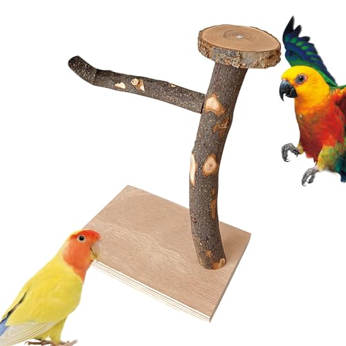 Vogelkäfigspielzeug aus Holz, Vogelsitzspielzeug,Papageienkäfig-Ständer aus Holz - Raues Oberflächen-Design, Papageien-Kletterspielzeug für Turteltauben, Sittiche, mittelgroße Papageien, Wellensittich von Jomewory