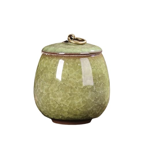 Jonesangle Aorm Kleine Haustier-Urne im Vintage-Stil, tragbar, EIS-Knister-Kätzchen, Hund, verstorben, Einäscherung, Altar, Haar-Gedenkdose(Apple Green(170ml)) von Jonesangle