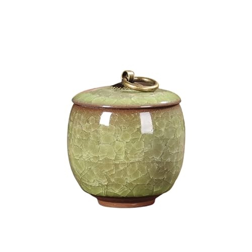 Jonesangle Aorm Kleine Haustier-Urne im Vintage-Stil, tragbar, EIS-Knister-Kätzchen, Hund, verstorben, Einäscherung, Altar, Haar-Gedenkdose(Apple Green(60ml)) von Jonesangle