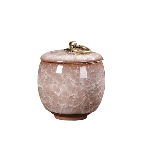 Jonesangle Aorm Kleine Haustier-Urne im Vintage-Stil, tragbar, EIS-Knister-Kätzchen, Hund, verstorben, Einäscherung, Altar, Haar-Gedenkdose(Diamond White(60ml)) von Jonesangle
