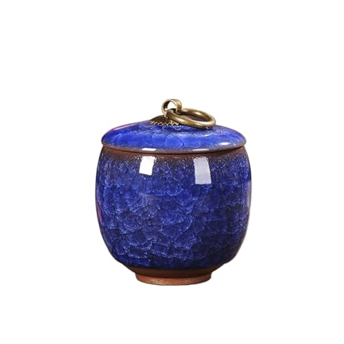 Jonesangle Aorm Kleine Haustier-Urne im Vintage-Stil, tragbar, EIS-Knister-Kätzchen, Hund, verstorben, Einäscherung, Altar, Haar-Gedenkdose(Sapphire Blue(60ml)) von Jonesangle