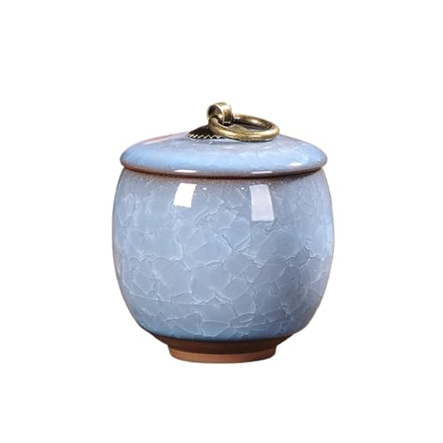 Jonesangle Aorm Kleine Haustier-Urne im Vintage-Stil, tragbar, EIS-Knister-Kätzchen, Hund, verstorben, Einäscherung, Altar, Haar-Gedenkdose(Sky Blue(60ml)) von Jonesangle
