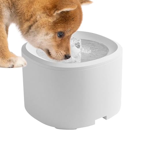 3L Katzen Wasserfountain - USB 5V-Schallgedämpfte Pumpe, 3-stufige Filtertechnik | Automatisches Trinkwasser System | Ideal für Hauskatzen, Maine Coon & Perserkatzen 3L Katzen Wasserfountain - USB 5V-Schallgedämpfte Pumpe, 3-stufige Filtertechnik | Automatisches Trinkwasser System | Ideal für Hauskatzen, Maine Coon & Perserkatzen von Jongyumo