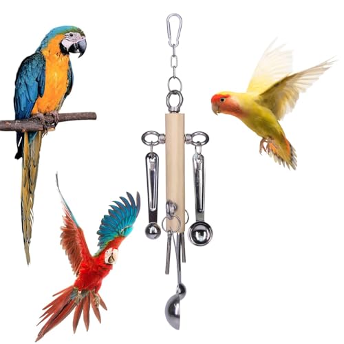 Jongyumo Vogelkauspielzeug mit Metalllöffeln, Vögel Kauspielzeug, Edelstahl Interaktives Bissfest Vögel Käfigspielzeug für Graupapageien, Sittiche, Caiques und Quäker Jongyumo Vogelkauspielzeug mit Metalllöffeln, Vögel Kauspielzeug, Edelstahl Interaktives Bissfest Vögel Käfigspielzeug für Graupapageien, Sittiche, Caiques und Quäker von Jongyumo