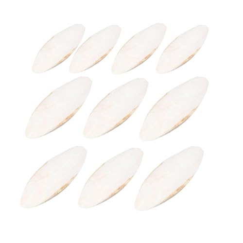 Naturliche Tintenfischknochen (9-12 cm) - 10er Pack, für Zahnpflege von Vögeln, Schildkröten, Leguanen & Schnecken - Calciumreich, langlebige Reptilien-Deko von Jongyumo