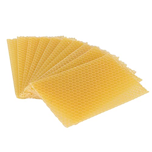 Bienenzucht Bienenwachs Foundation Wachs Rahmen Möbel Polieren Mahagoni Handwerk 10 Stück Bienenzucht Bienenwachs Foundation Wachs Rahmen Möbel Polieren Mahagoni Handwerk 10 Stück von Jonlaki