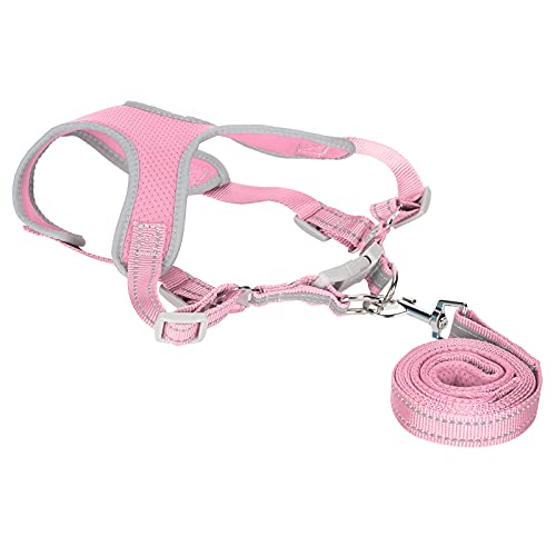 Jonlaki Reflektierende Hundeweste, Katzengeschirr und Leine, Hundegeschirr, Mittelgroßer Hund, Weiche Hundeweste, Geschirr, Haustier-Outdoor-Geschirr für Kleine, Mittelgroße und Große Jonlaki Reflektierende Hundeweste, Katzengeschirr und Leine, Hundegeschirr, Mittelgroßer Hund, Weiche Hundeweste, Geschirr, Haustier-Outdoor-Geschirr für Kleine, Mittelgroße und Große von Jonlaki