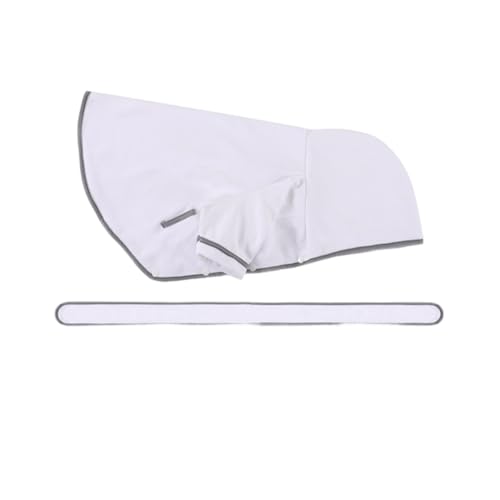 Jooehyer Bademantel f¨¹r Hunde mit Kapuze, Trockenmantel f¨¹r Hunde, Bademantel f¨¹r Hunde, Super Saugf?hig, Bademantel f¨¹r Hunde, Trockentuch f¨¹r Hunde, Badet¨¹Cher, Haustierhandt¨¹Cher B Jooehyer Bademantel f¨¹r Hunde mit Kapuze, Trockenmantel f¨¹r Hunde, Bademantel f¨¹r Hunde, Super Saugf?hig, Bademantel f¨¹r Hunde, Trockentuch f¨¹r Hunde, Badet¨¹Cher, Haustierhandt¨¹Cher B von Jooehyer