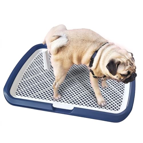Hundetoilette Flachdesign mit wasserdichter Basis, herausnehmbarem Tablett & rutschfesten Füßen – für Welpen und Erwachsene Hunde – Ideal für Indoor, Balkon oder Reisen (65 * 50cm (Blau) von JooumaniQ