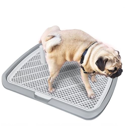 Hundetoilette Flachdesign mit wasserdichter Basis, herausnehmbarem Tablett & rutschfesten Füßen – für Welpen und Erwachsene Hunde – Ideal für Indoor, Balkon oder Reisen (65 * 50cm (Grau) von JooumaniQ