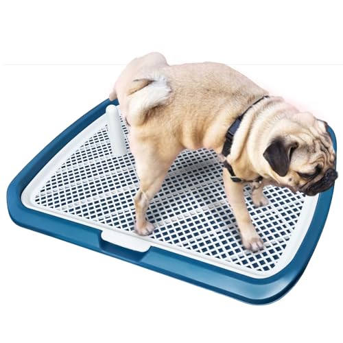 Hundetoilette Flachdesign mit wasserdichter Basis, herausnehmbarem Tablett & rutschfesten Füßen – für Welpen und Erwachsene Hunde – Ideal für Indoor, Balkon oder Reisen (Grau, 65 * 50 (Grün) von JooumaniQ