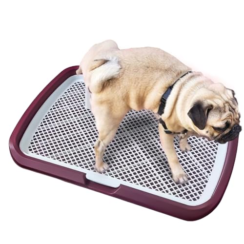 Hundetoilette Flachdesign mit wasserdichter Basis, herausnehmbarem Tablett & rutschfesten Füßen – für Welpen und Erwachsene Hunde – Ideal für Indoor, Balkon oder Reisen (Grau, 65 * 50 (Rot) von JooumaniQ