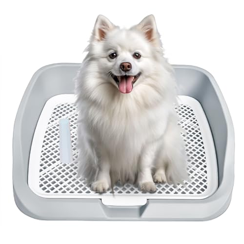 Hundetoilette mit Fester Umrandung | Spritzwassergeschützt, Leicht zu Reinigen für Welpen & Kleine Hunde (Grau) von JooumaniQ