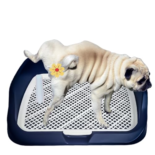 Hundetoilette mit Fester Umrandung | Spritzwassergeschützt, Leicht zu Reinigen für Welpen & Kleine Hunde (Marineblau) von JooumaniQ