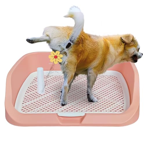 Hundetoilette mit Fester Umrandung | Spritzwassergeschützt, Leicht zu Reinigen für Welpen & Kleine Hunde (Rosa) von JooumaniQ