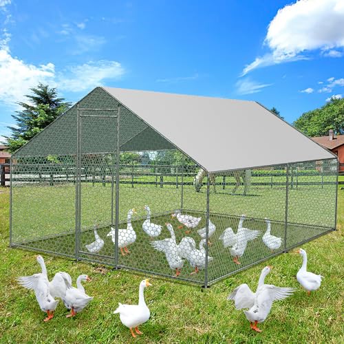 Jopassy Freilaufgehege Hühnerstall 3x3x2m, Außengehege Verzinkter Stahl Kleintierstall, Geflügelstall mit Schloss, Freigehege für Hühnerkäfig, Kleintiere Vogelkäfig und Haustierkäfig Jopassy Freilaufgehege Hühnerstall 3x3x2m, Außengehege Verzinkter Stahl Kleintierstall, Geflügelstall mit Schloss, Freigehege für Hühnerkäfig, Kleintiere Vogelkäfig und Haustierkäfig von Jopassy