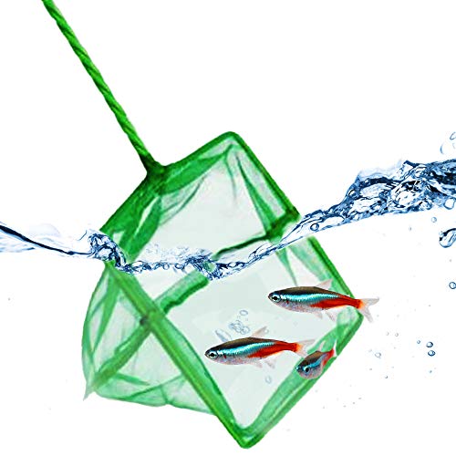 JOR Neon Tetra Netz, grünes feines Netz, ideal zum Fangen kleiner Fische, mit stabilem Griff und komfortablem Griff, 1 Stück pro Packung von Jor