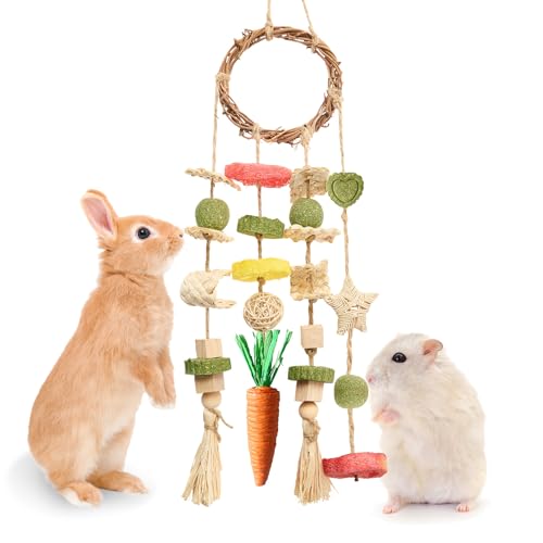 Jorewood Hasen-Kauspielzeug, Kaninchenkäfig, hängendes Kauspielzeug und Leckerlis, Rattan-Ring mit Snacks für Meerschweinchen, Chinchillas, Hamster, Ratten und andere kleine Haustiere, Zähneknirschen Jorewood Hasen-Kauspielzeug, Kaninchenkäfig, hängendes Kauspielzeug und Leckerlis, Rattan-Ring mit Snacks für Meerschweinchen, Chinchillas, Hamster, Ratten und andere kleine Haustiere, Zähneknirschen von Jorewood