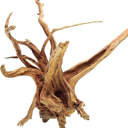 Jorewood Natürliches großes Spinnenholz, Treibholz für Aquarium-Dekoration, Aquarium-Dekoration, sortierter Zweig, 33 - 40,6 cm, 1 Stück Jorewood Natürliches großes Spinnenholz, Treibholz für Aquarium-Dekoration, Aquarium-Dekoration, sortierter Zweig, 33 - 40,6 cm, 1 Stück von Jorewood