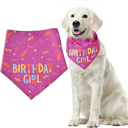 1 x verstellbares Hunde-Geburtstags-Halstuch, Dreieckstuch für kleine, mittelgroße und große Hunde, niedliches Haustier-Geburtstagsparty-Zubehör (Rosa) von Jormftte