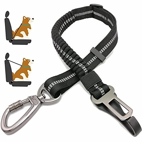 Hunde-Sicherheitsgurt, Verstellbarer Hunde-Sicherheitsgurt für Auto, 2-in-1-Hunde-Sicherheitsgurt, reflektierender Bungee-Hunde-Sicherheitsgurt mit Haken und Schnalle, Hunde-Auto-Sicherheitsgurt mit Hunde-Sicherheitsgurt, Verstellbarer Hunde-Sicherheitsgurt für Auto, 2-in-1-Hunde-Sicherheitsgurt, reflektierender Bungee-Hunde-Sicherheitsgurt mit Haken und Schnalle, Hunde-Auto-Sicherheitsgurt mit von Jorohiker