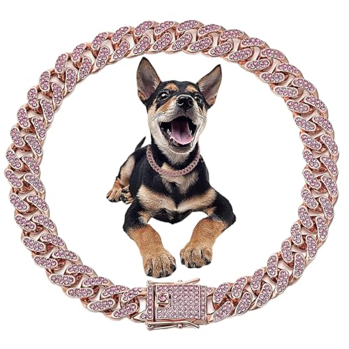 Diamond Hundekragen 10 -Zoll Luxus Blingkragen 12, 5 mm breite Katzenkettenkragen zarte Hundehalskette mit Lockbuckeln Metallschmuckzubehör für Hunde und Katzen von Jorzer