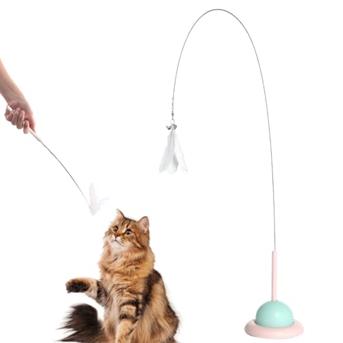 Jorzer Automatisches Katzenspielzeug mit Glocken und Saugnapfbecher Interaktives Katzenspielzeug robust Spielen von Jorzer