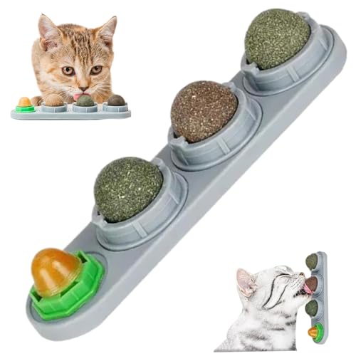 Katzenminzenkugeln, 4 Geschmacksrichtungen 360 ° rotatierbare essbare Katzenfischwandmontage mit feuchtigkeitssicherer Deckelkatze Energy Ball Lick Anxiety Relief Interaktives Spielzeug für alle Ras von Jorzer