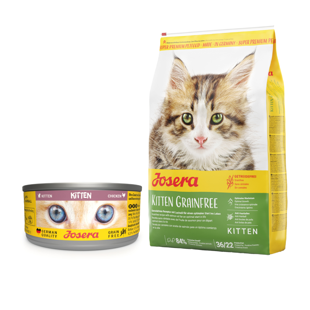 12 x 85 g Josera Kitten + 400 g Trockenfutter gratis! - Huhn + Kitten Grainfree 12 x 85 g Josera Kitten + 400 g Trockenfutter gratis! - Huhn + Kitten Grainfree von Josera