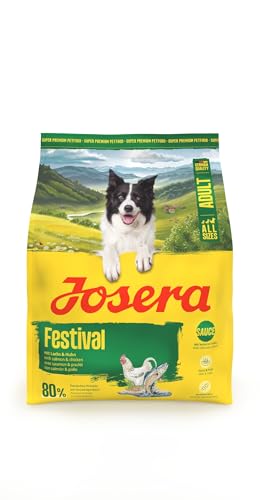 JOSERA Adult Festival Lachs & Huhn (1 x 900 g) | Premium Trockenfutter für ausgewachsene wählerische aktive Hunde | energiereich | in leckerem Soßenmantel auch zum Einweichen | glutenfrei | 1er Pack von Josera