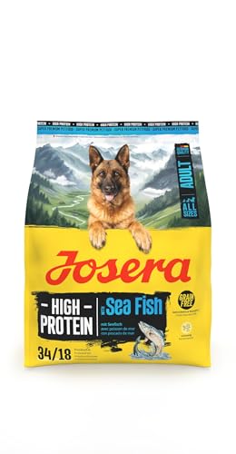 JOSERA Adult High Protein Seefisch (1 x 900 g) | Premium Trockenfutter für ausgewachsene & sportliche Hunde | Lachs & Süßkartoffel | getreidefrei & proteinreich | L-Carnitin & Taurin | 1er Pack von Josera
