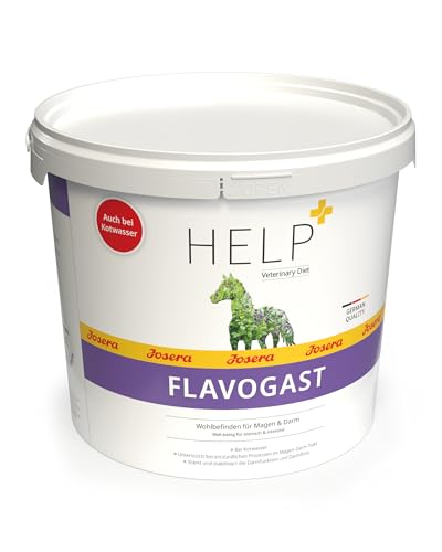 JOSERA Flavo Gast (1 x 3 kg) | Pferd | Premium Pferdefutter für empfindliche Pferde | Zusatzfutter mit EquiFlavin(R) - Wohlbefinden für Magen & Darm bei Kotwasser | Gute Dosierbarkeit | 1er Pack von Josera